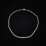 1298 3429 PEARL NECKLACE